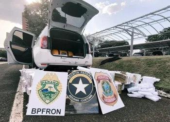 Incautan en Brasil medicamentos adelgazantes que habrían ingresado desde Iguazú