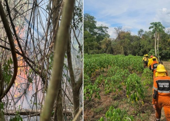 Controlan incendio de pastizales en Colonia Yacutinga