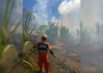 Bomberos controlaron incendios de malezas y plantaciones en distintas localidades de Misiones