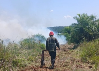 Loreto: incendio de malezas sofocado cerca de un aserradero