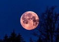 Luna llena de abril: cuándo es y qué significa
