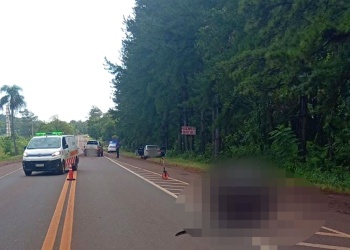 Tragedia en Montecarlo: un motociclista de 64 años murió tras choque en la ruta 12