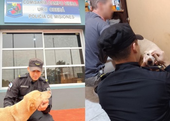 Video: hombre huyó tras abandonar a su perro en un camino rural de Campo Viera