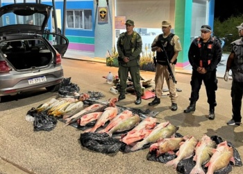 Transportaba de manera irregular 130 kilos de pescado y lo delató el olor 
