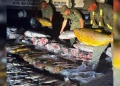 Intentaban ingresar a Misiones con 720 kilos de pescado ilegal y fueron detenidos