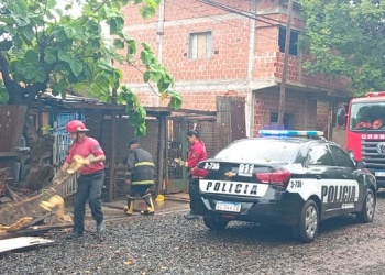 Tormenta en Posadas dejó una vivienda inundada y provocó caída de árboles