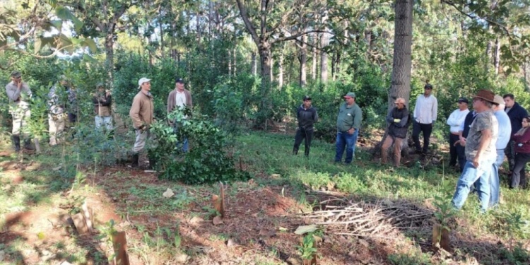 RENDIMIENTO. El objetivo es lograr producciones más sustentables.
