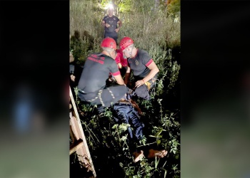 Rescate en Garupá: un hombre en crisis fue bajado de un árbol de 15 metros