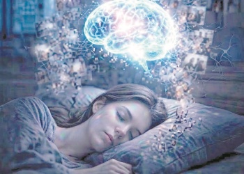 ¿Qué hace el cerebro mientras dormimos?