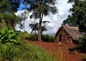 Ecosananción: Sentido de seguridad como contra hipótesis del miedo