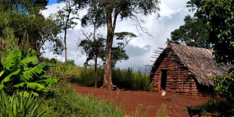 Paisaje Cultural. Reserva de Biosfera Yabotí. Territorio Guaraní. Comunidad Jejy.