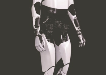 Musk renombra el estancado Macrohard como proyecto conjunto de Tesla-xAI