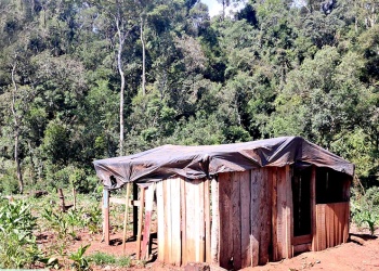 San Pedro: investigan presunta usurpación en una chacra