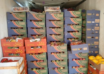 Una carga de frutas que salió desde Misiones fue decomisada por irregularidades sanitarias