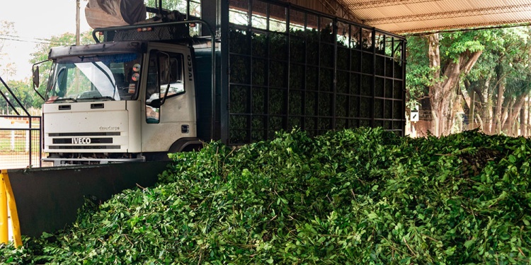 COSTOS. El gasoil para movilizar la cosecha es uno de los gastos de producción más influyentes en la chacra.