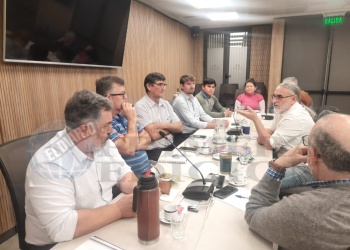 Productores yerbateros llevaron su reclamo al Congreso y redoblan la presión contra el DNU