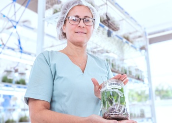 ¿Qué son los BIT y cómo aceleran la producción de alimentos?