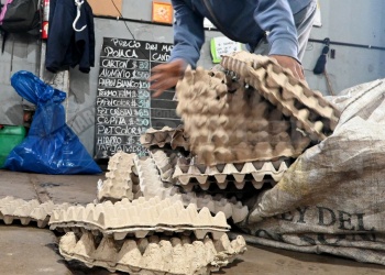 La rentabilidad del reciclaje se concentra en empresas y afecta a recuperadores urbanos