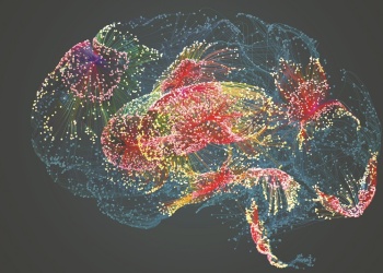 Las mismas neuronas se activan al ver e imaginar