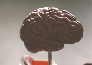 Meta lanza un modelo de IA que predice la actividad cerebral humana