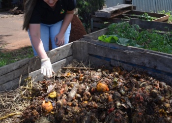 Primer mes del compostaje con una plataforma digital para reducir basura