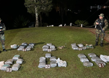 Operativo en Misiones: secuestran droga por más de $300 millones