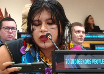 Lideresa mbya denunció en la ONU avance territorial y falta de agua en comunidades indígenas