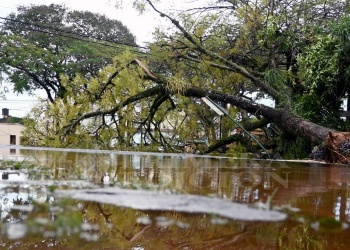 Confirman el ingreso de El Niño con alta inestabilidad climática en Misiones