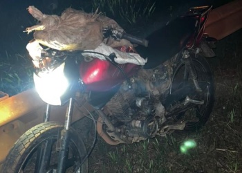 Montecarlo: atropelló y lesionó a una mujer sobre la ruta Nacional 12