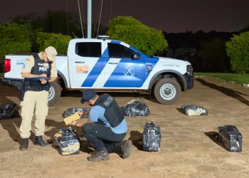 Secuestran más de 200 kilos de marihuana en un operativo en Iguazú
