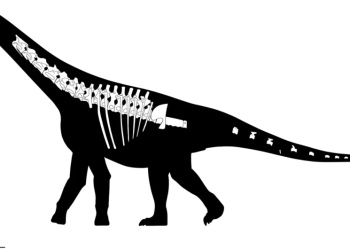 “Bicharracosaurus”: científicos argentinos descubren una nueva especie de dinosaurio en Chubut