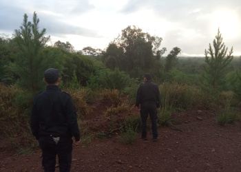 Confirmaron que el cuerpo hallado en Colonia Pastoreo era de Nicolás Muñoz