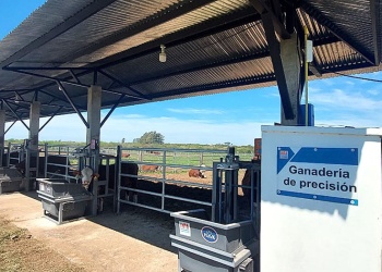 El NEA apuesta a la genética para reducir costos ganaderos