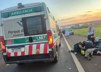 Intentó esquivar un perro y terminó provocando un choque