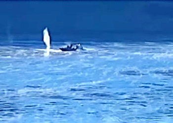 Suboficial de la PNA herida de bala en un procedimiento en Puerto Iguazú