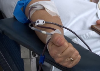 Misiones: 141 trasplantes de células progenitoras hematopoyéticas