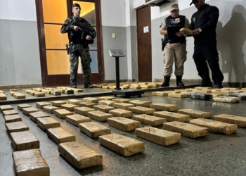 Incautan más de 100 kilos de droga valuados en $372 millones en Misiones