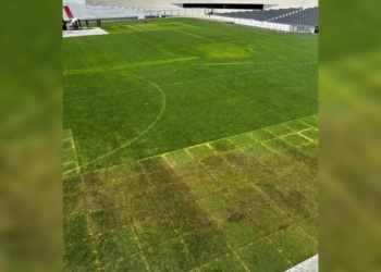 Así está el césped del Monumental en la previa al Superclásico ante Boca