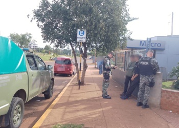Rescataron en Oberá a un mono caí que iba a ser vendido de forma ilegal