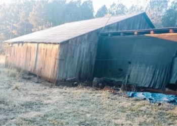 Misiones amaneció con las primeras heladas del año y vuelve el calor