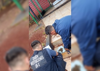 Secuestran marihuana lista para la venta tras un operativo en Posadas