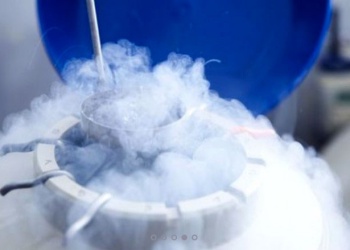 IMiBio tiene un biobanco con más de 6.000 muestras de biodiversidad crioconservadas