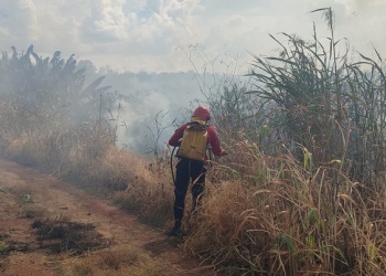 Sofocaron un incendio que se acercaba peligrosamente a la ruta Nacional 12