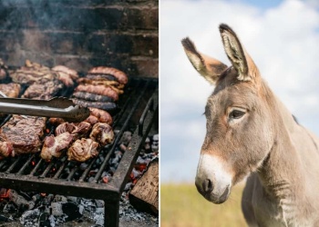 Probó carne de burro en una parrilla y mostró a qué sabe: la experiencia que generó curiosidad y polémica