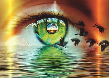 Conciencia de unidad