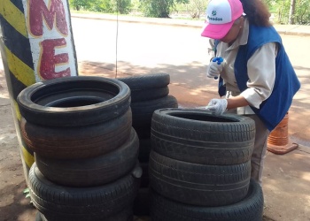 No hay fecha para el LIRAa pero siguen los controles periódicos en Posadas