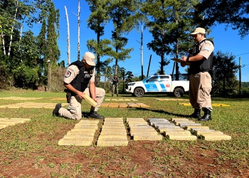 Prefectura incautó más de 1.300 kilos de marihuana en Puerto Libertad