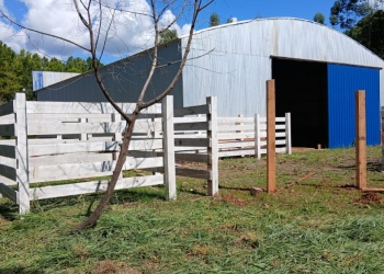 Se formaliza el matadero del Alto Uruguay y potencia la producción