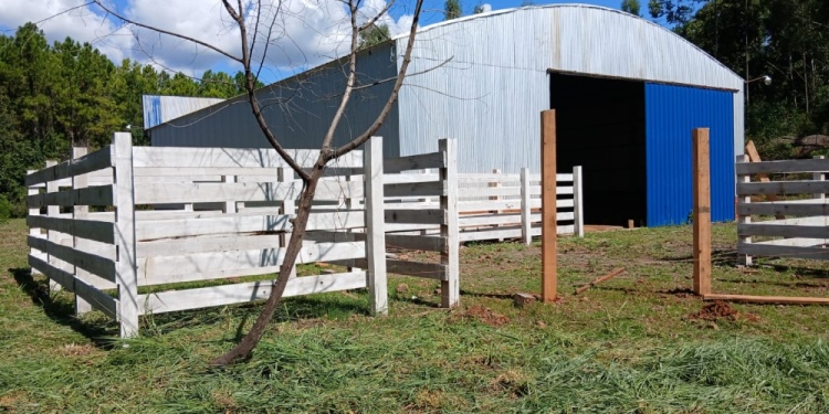 PILAR DE LA CADENA PRODUCTIVA. El nuevo matadero del Alto Uruguay deja atrás años de informalidad.