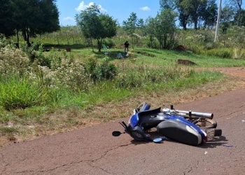 San Javier: motociclista embistió a un perro en la ruta Provincial 4, despistó y terminó con lesiones